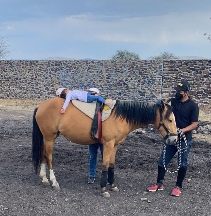 Terapia con Caballos