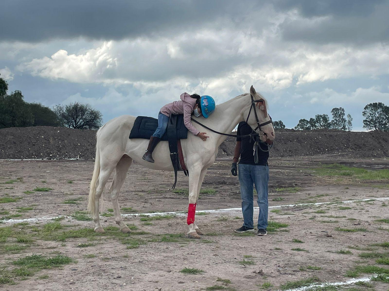 Terapia con Caballos