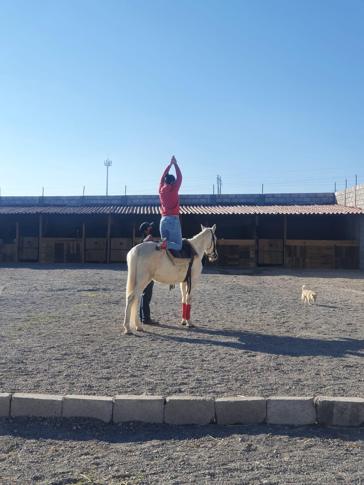 Terapia con Caballos