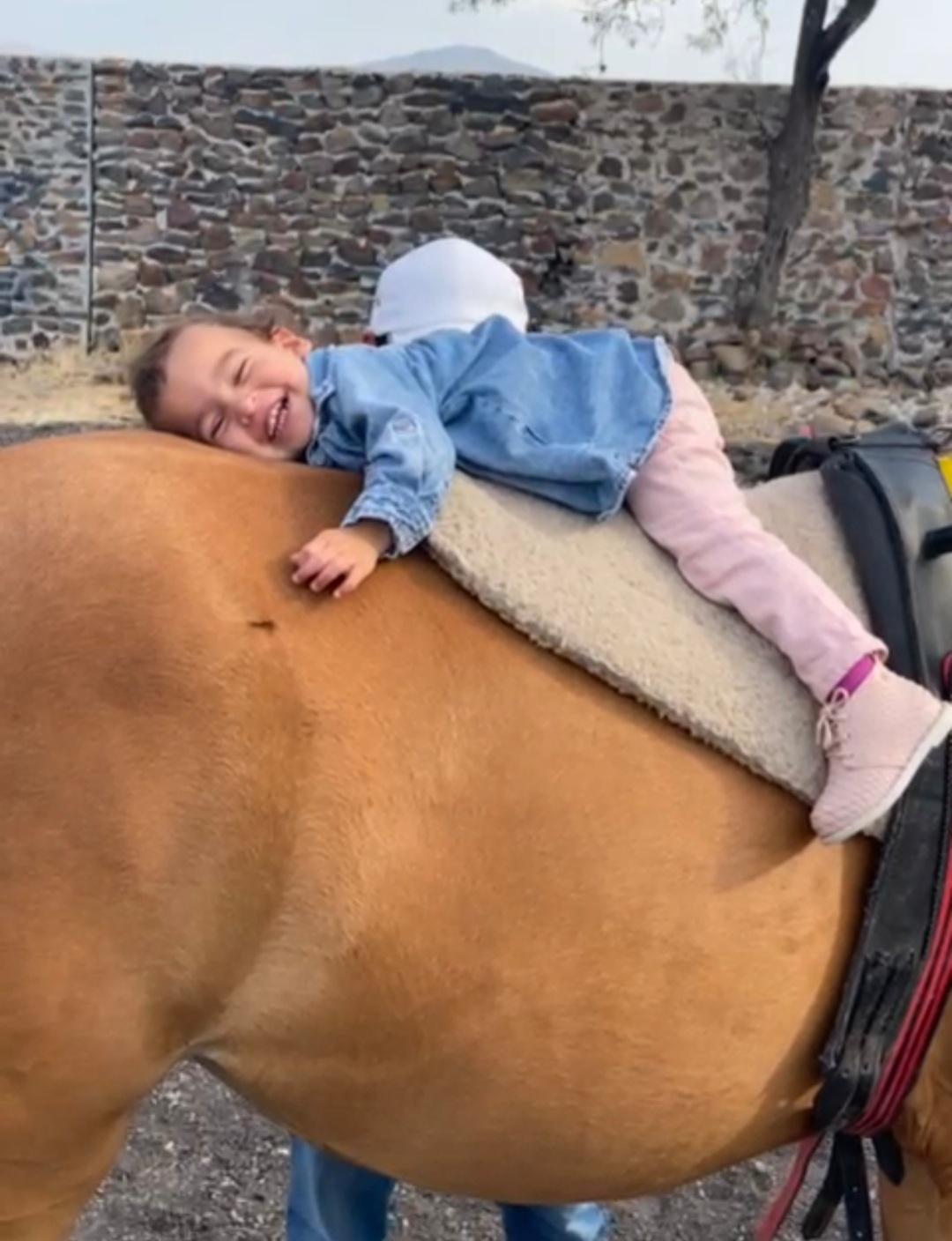 Terapia con Caballos