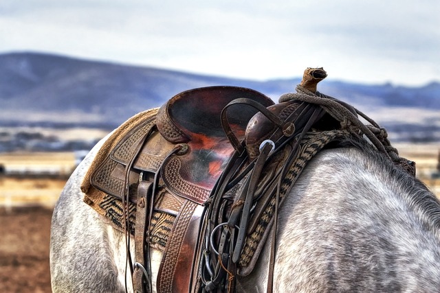 Clases De Montar A Caballo​